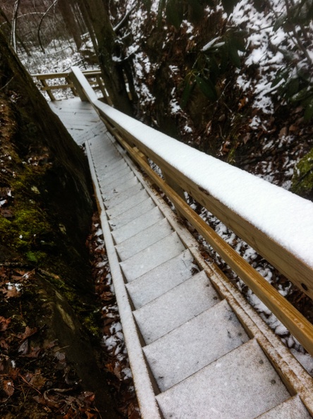 0302_Snow Showers along Auxier Ridge - 03.jpg